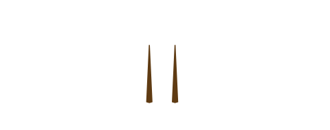Tell a modest of Japan since ancient times. -  chop sticks